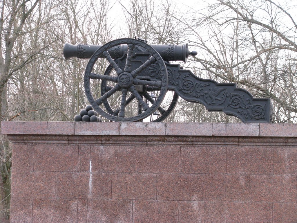 пушка возле усадьбы Румянцевых- Паскевичей