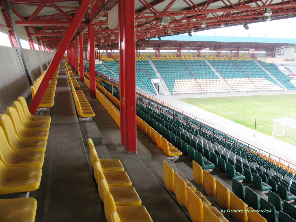 the "Tsentralny" Stadium in Homel