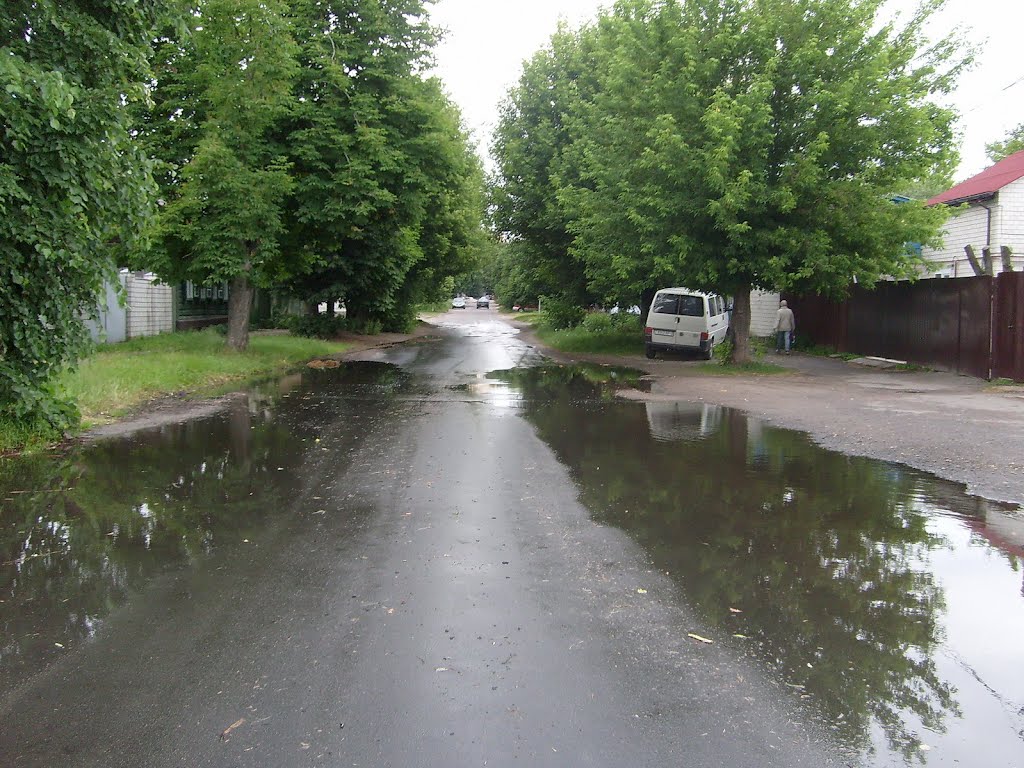 Речицкая улица