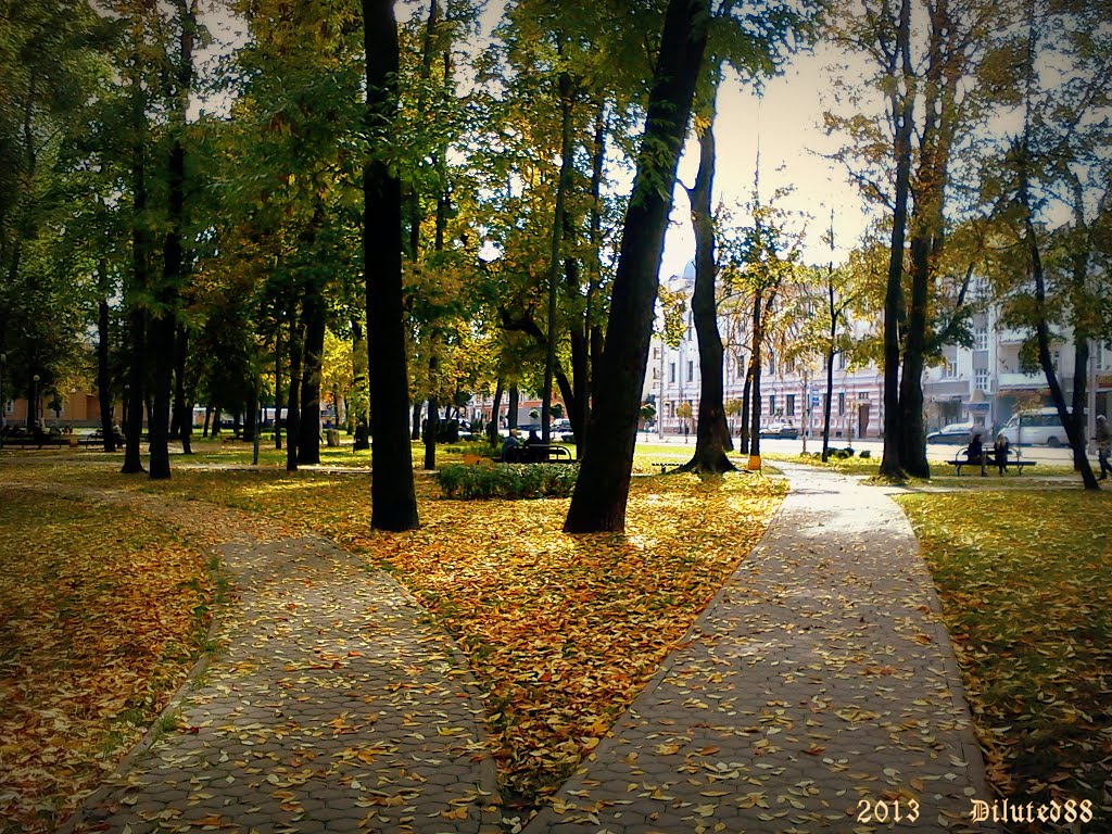 Прыйшла восень у сквер піянераў ... Autumn came to the park pioneers