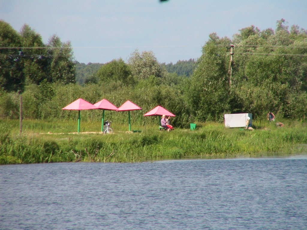 Зарос травой старый пляж
