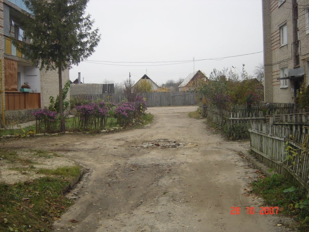 Рима Шершневой