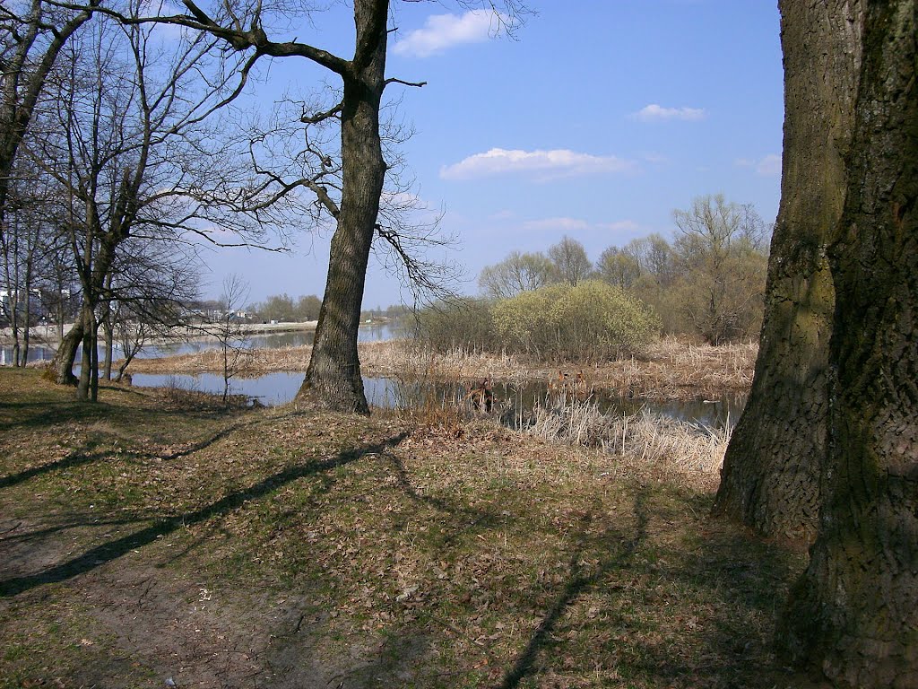 парк на выспе/park  on the island/(2)