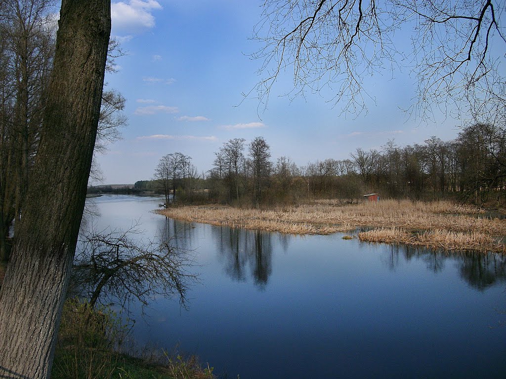 рукаў Іпуці/arm of the river Ipuć(3)