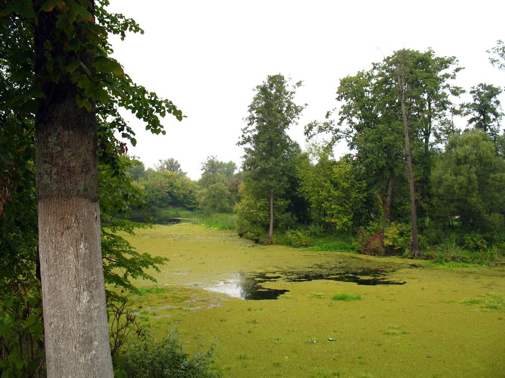 р.Ипуть, 2010