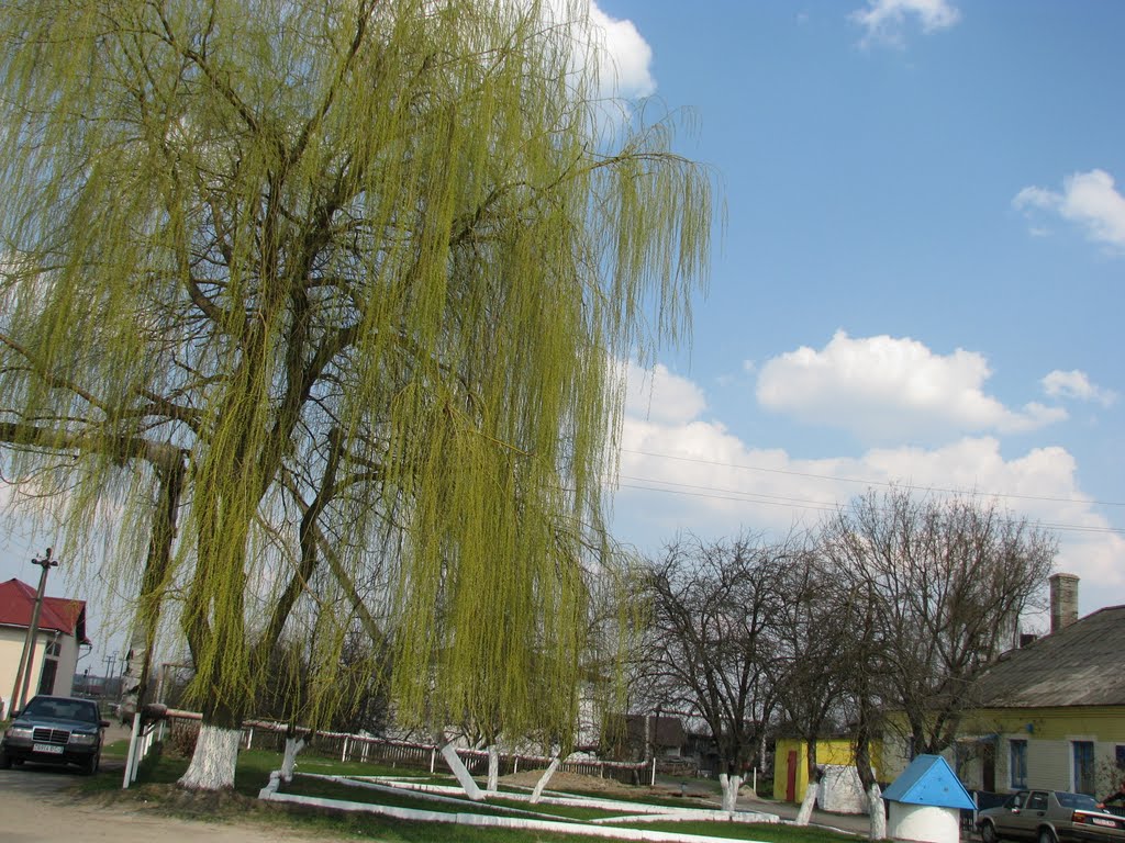 Апрель 2010г.