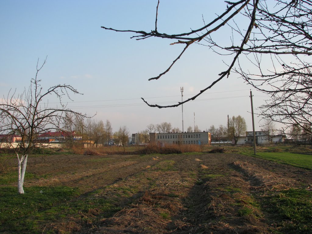 Апрель 2010г.
