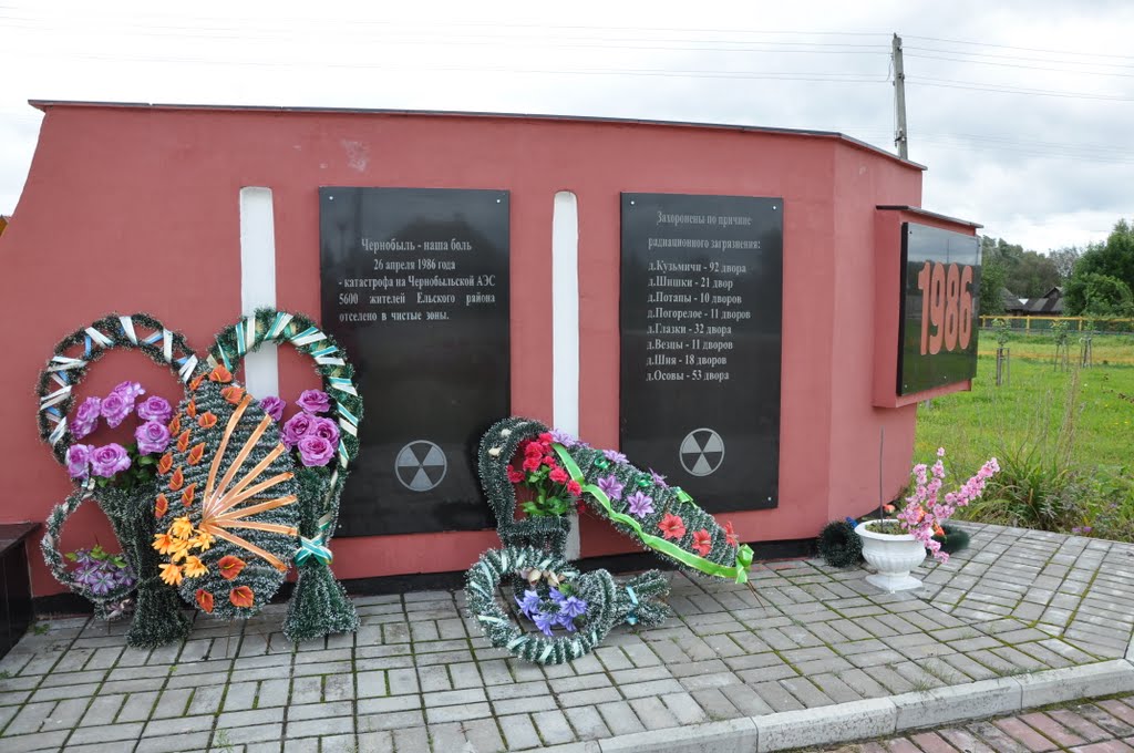 Ельск. Памятник.