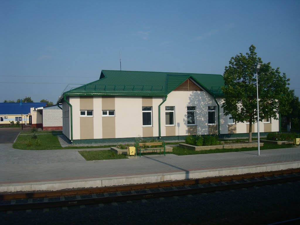 Станция Ельск