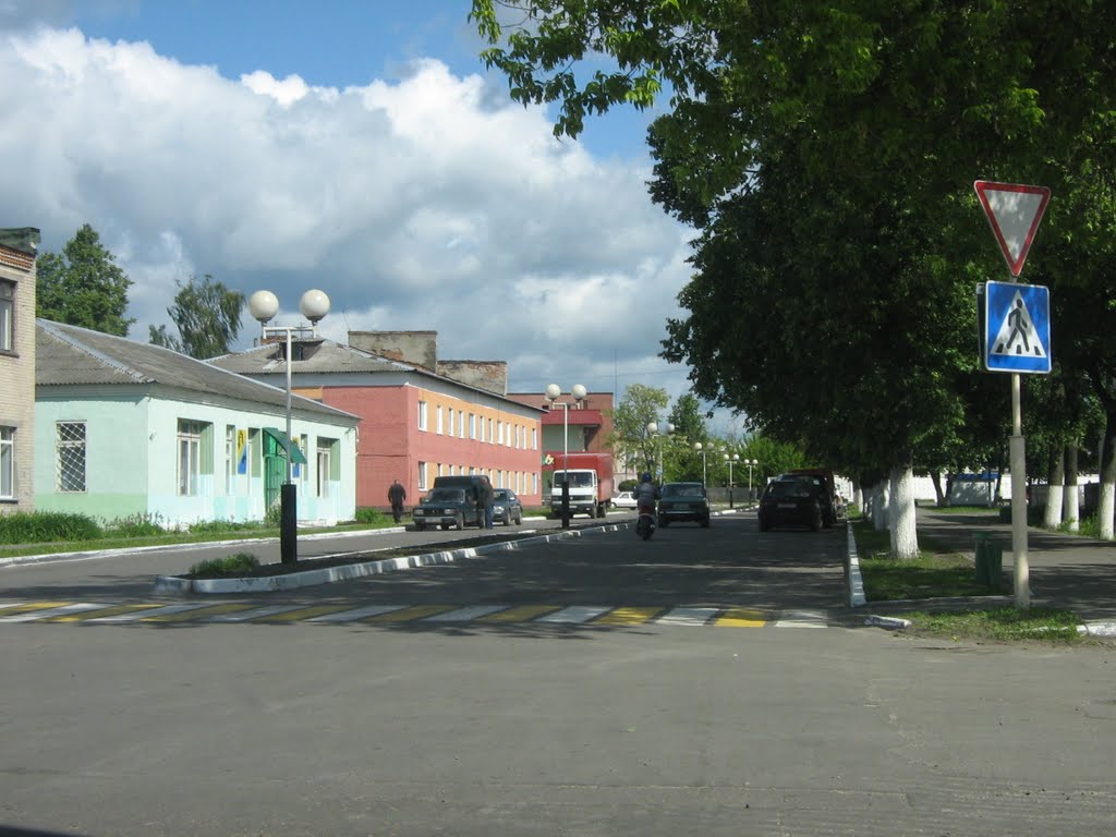 Житковичи, ул.Чкалова