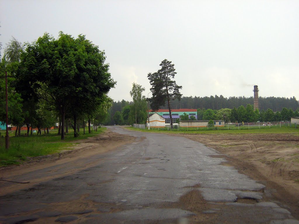 М-н Сосновый, возле ветлечебницы