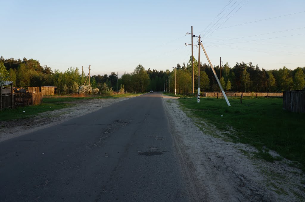 Дорога в Сельхозтехнику