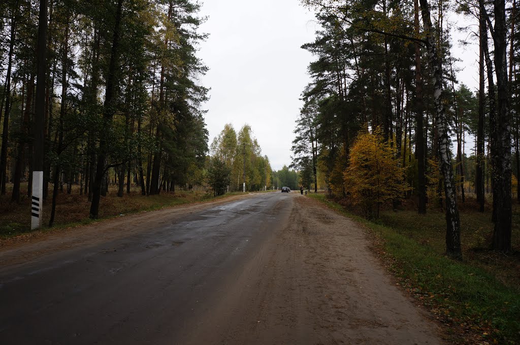 Дорога в центр Житкович