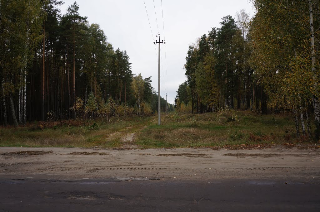 ЛЭП над дорогой
