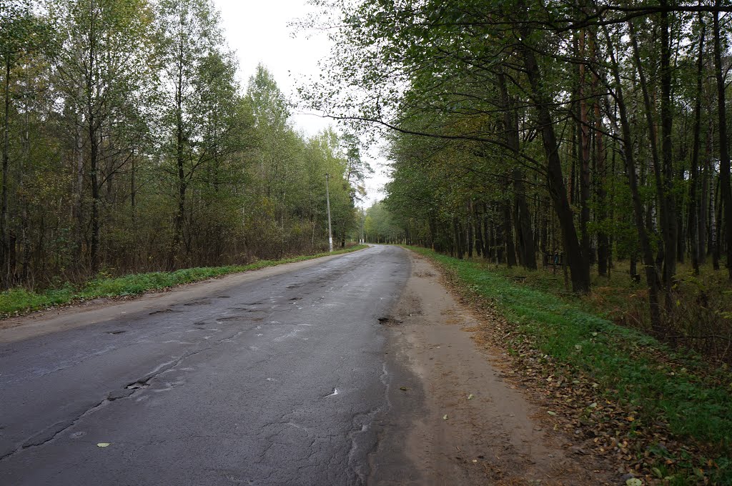 Дорога в центр Житкович