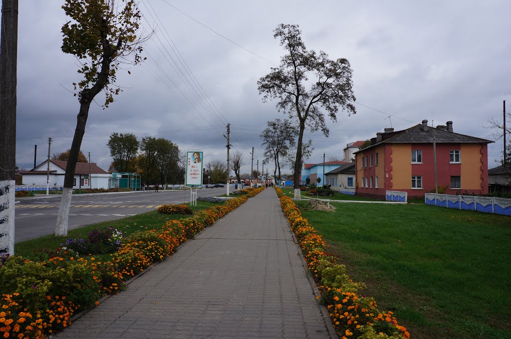 ул. Карла Маркса