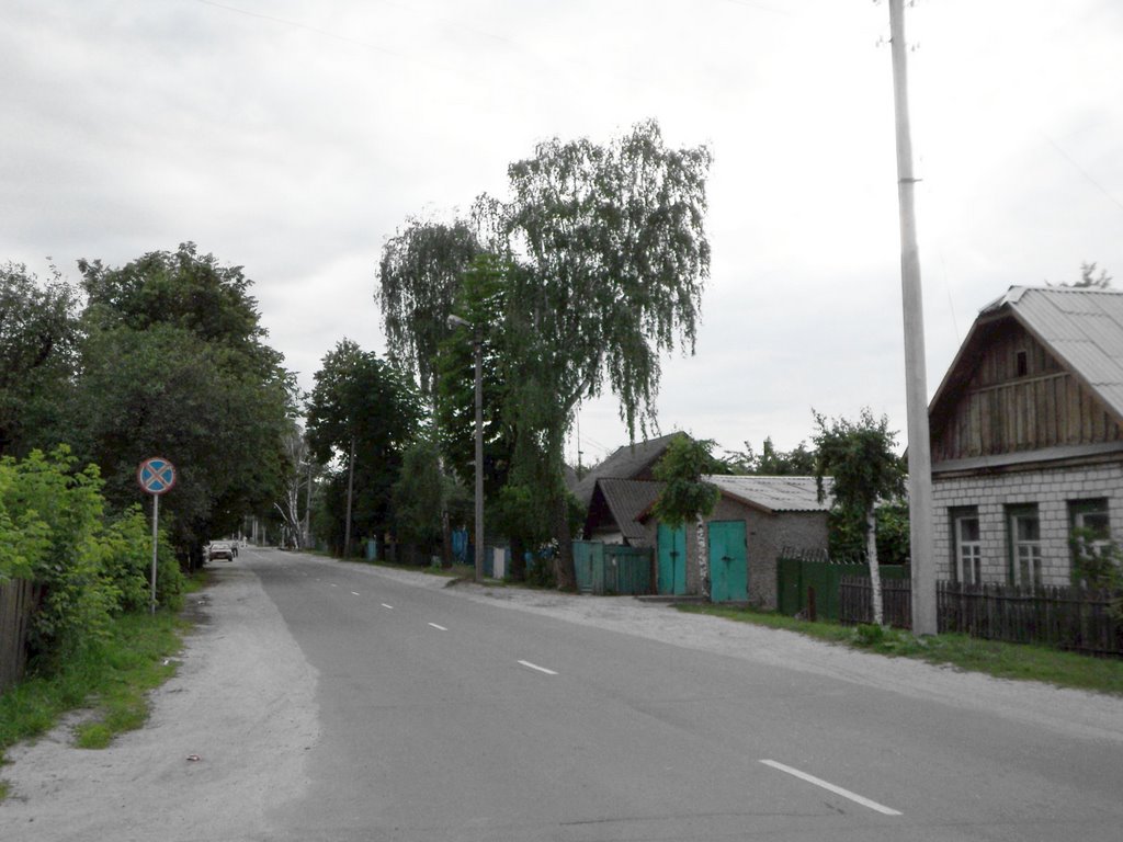 Street