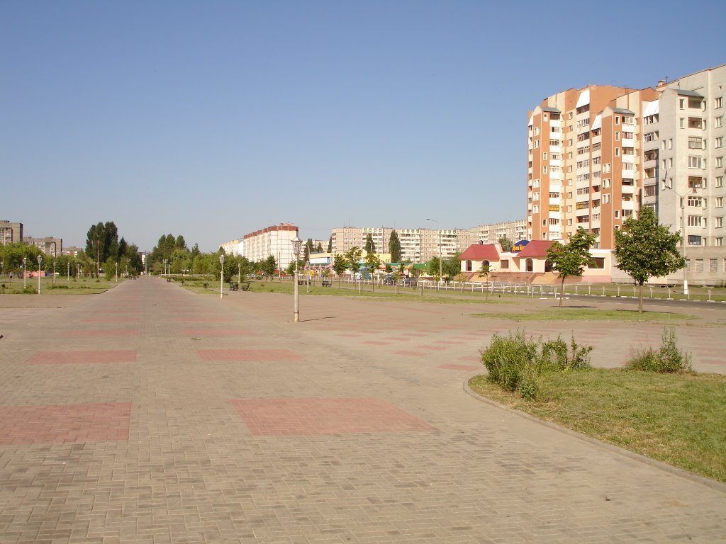 г.Жлобин.Бульвар металлургов