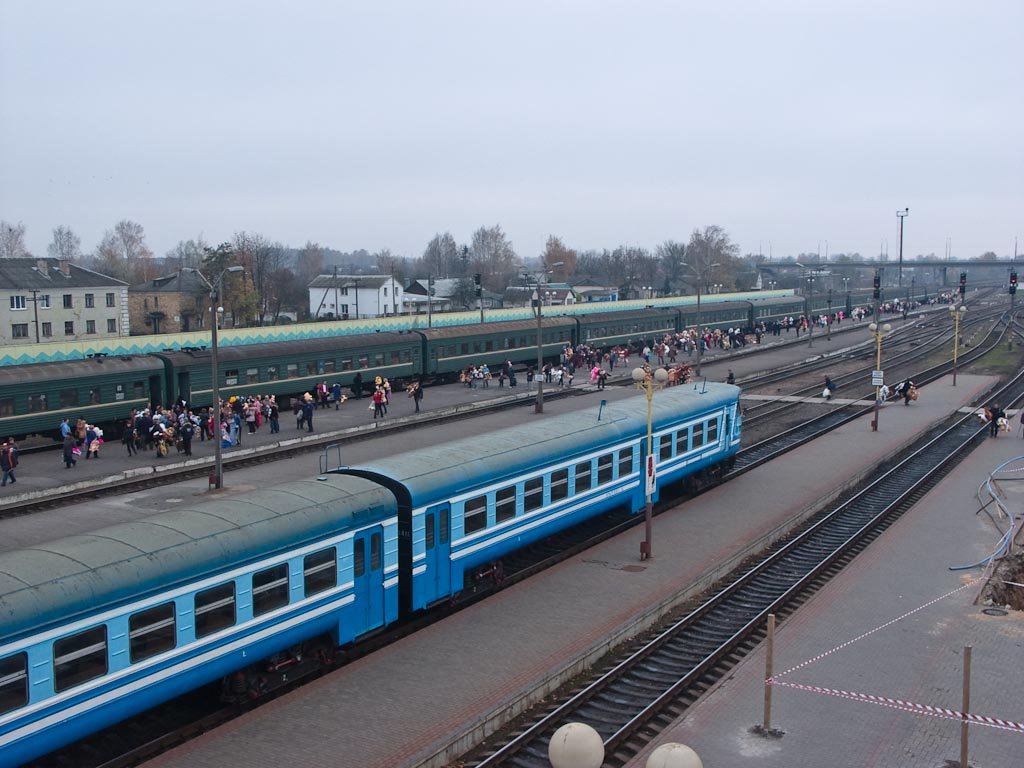 Беларусь: обл.Гомелевская: Жлобин: ж/д вокзал: зелёный поезд - мой; 15:47 01.11.2008