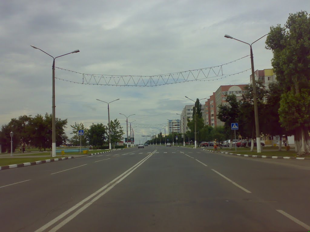 Жлобин. улица Барташова