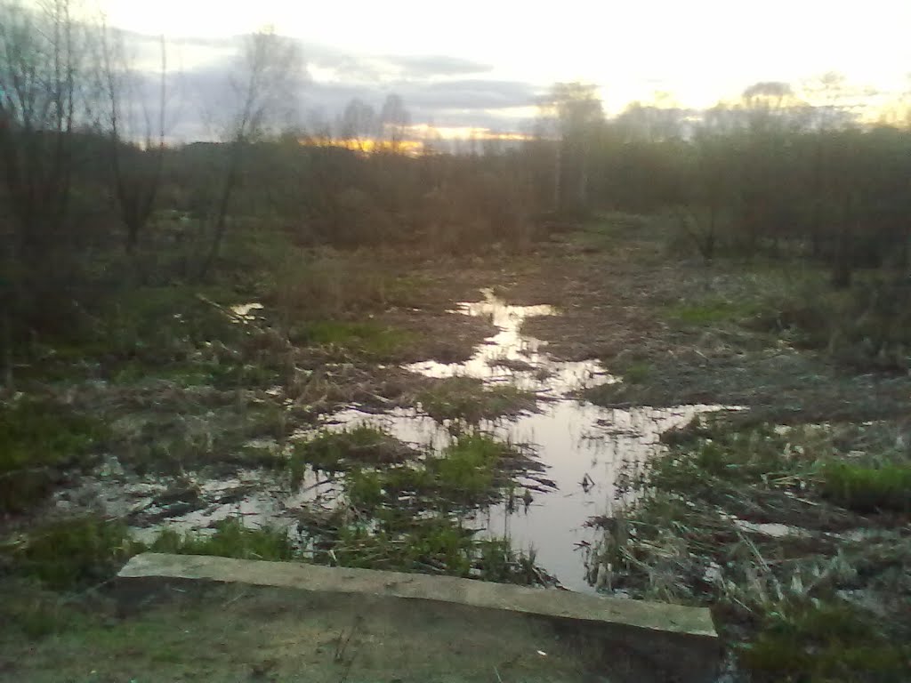 Болото