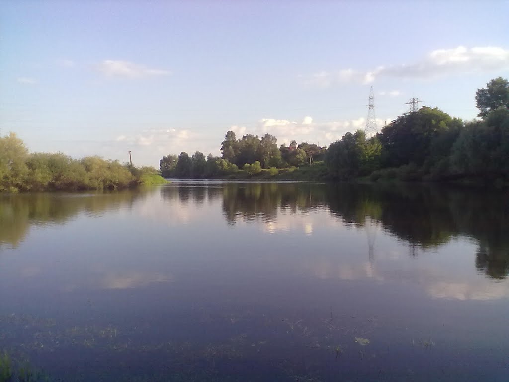 Старица