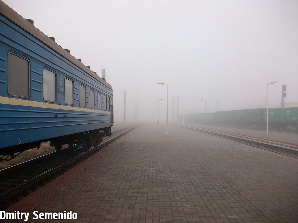 Туман / Fog