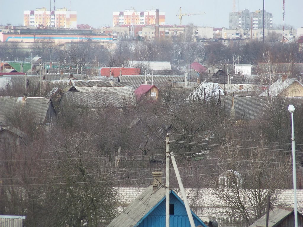 Kalinkovichi