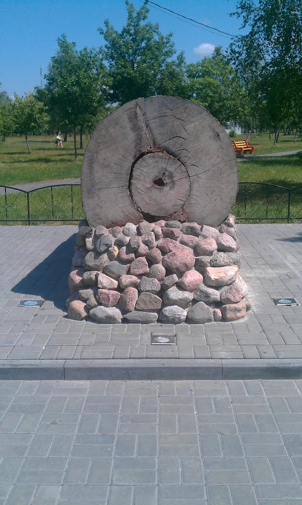 Вековой дуб