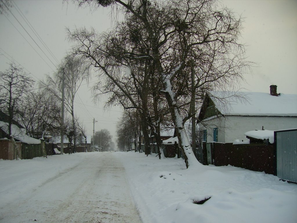 улица Первомайская