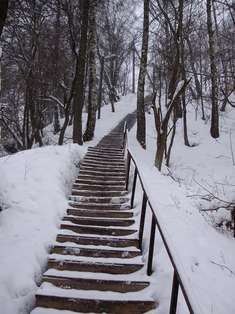 Лесница в небо.