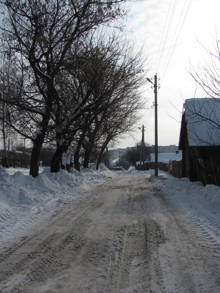 city block Bobry