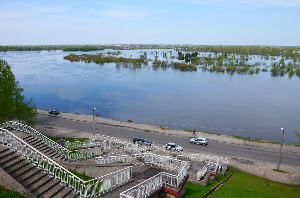 р. Припять. Половодье.