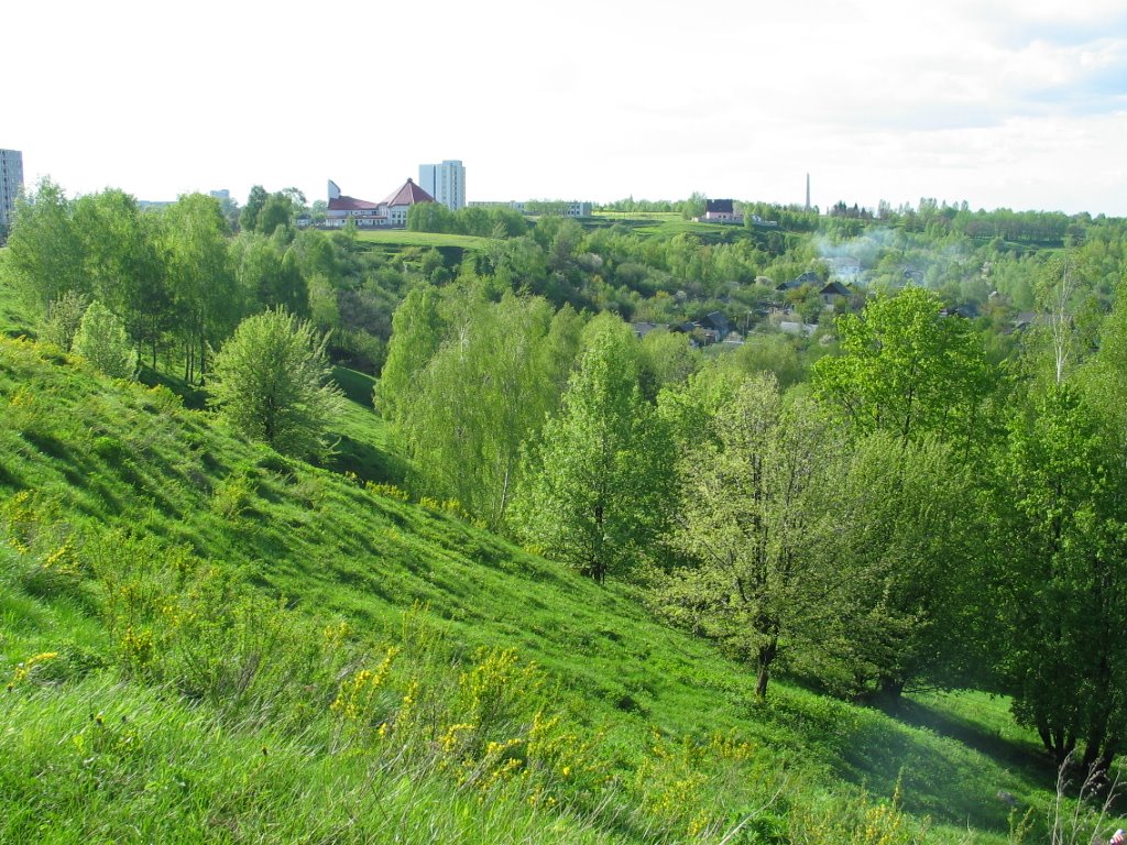 Mozyr. Ovrag