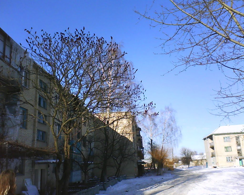 Возле детской площадки