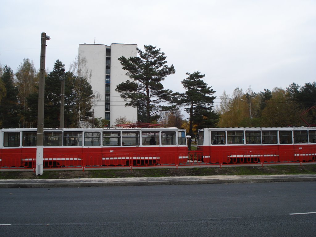 Мозир
