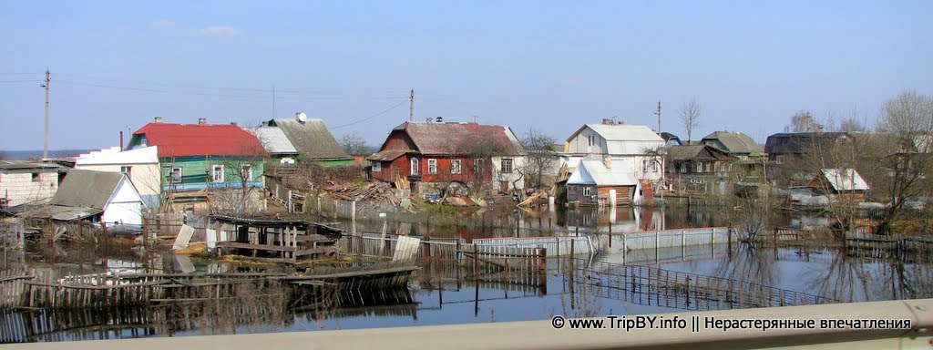 Разлив реки в пригороде Бобруйска. Апрель 2010.