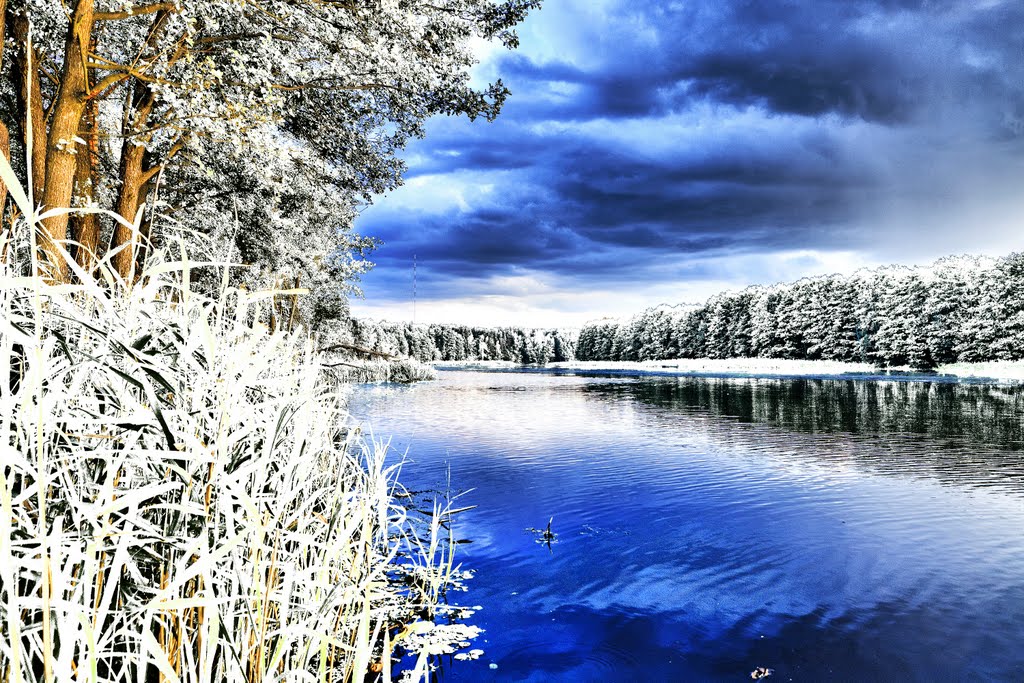 Река Свислочь в Лапичи/river Svisloch in Lapichi