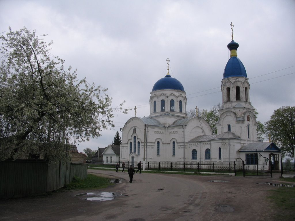 церква Св. Миколая в Петрикові