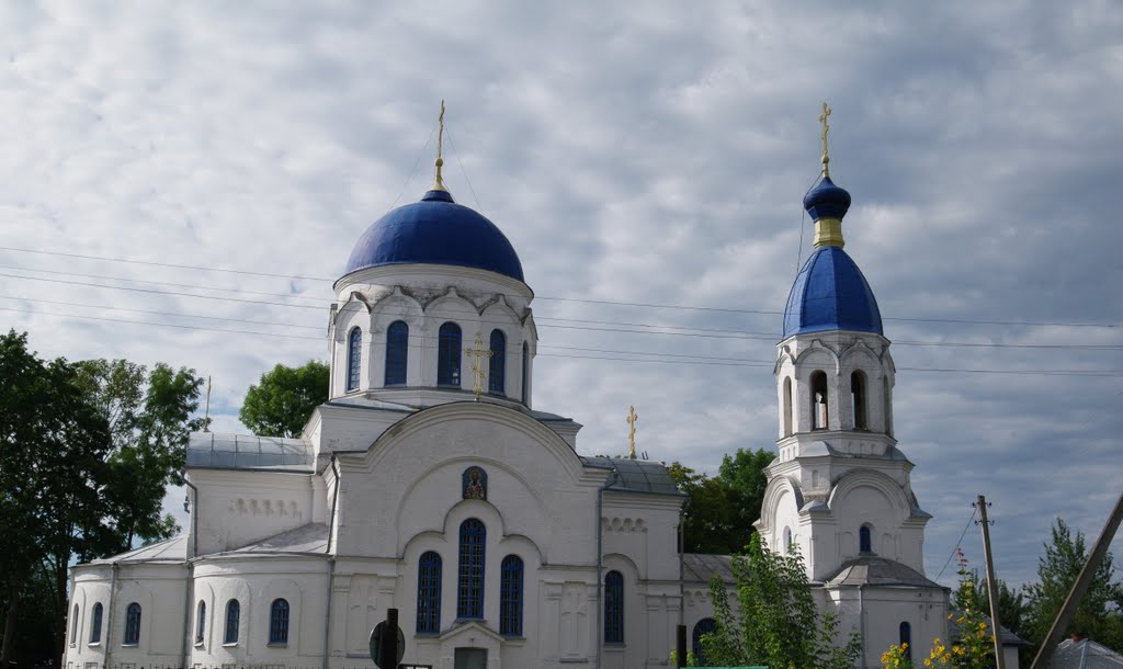 Церковь в Петрикове