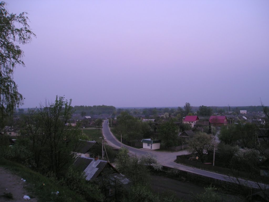 Дорога к парому на Припяти
