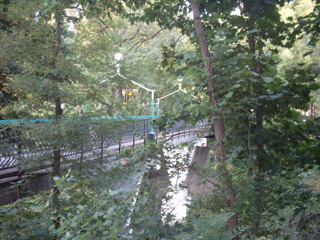 Petrikov