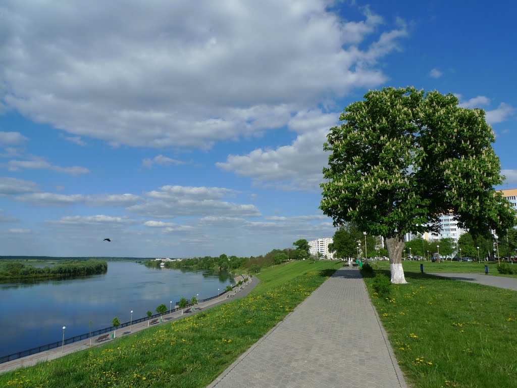 Rechitsa waterfront