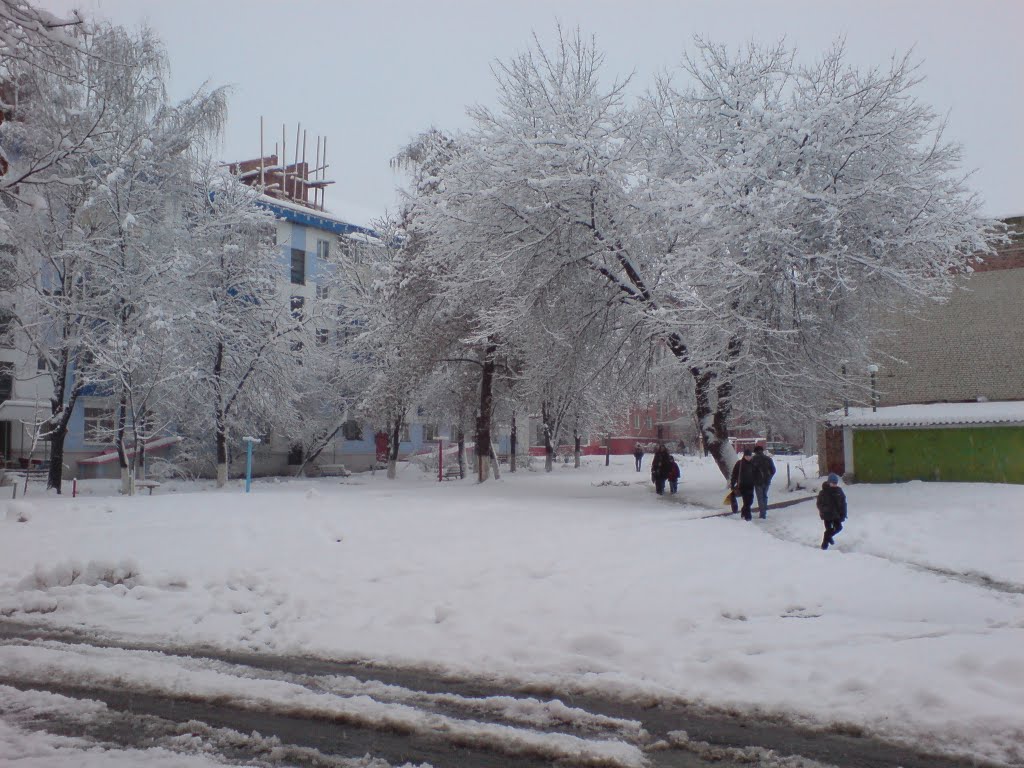 Мой двор