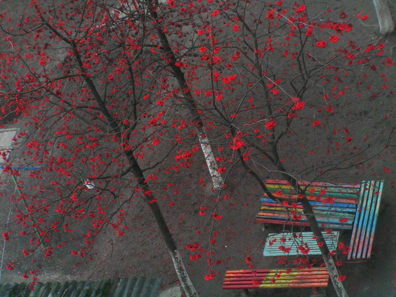 прошлая осень..