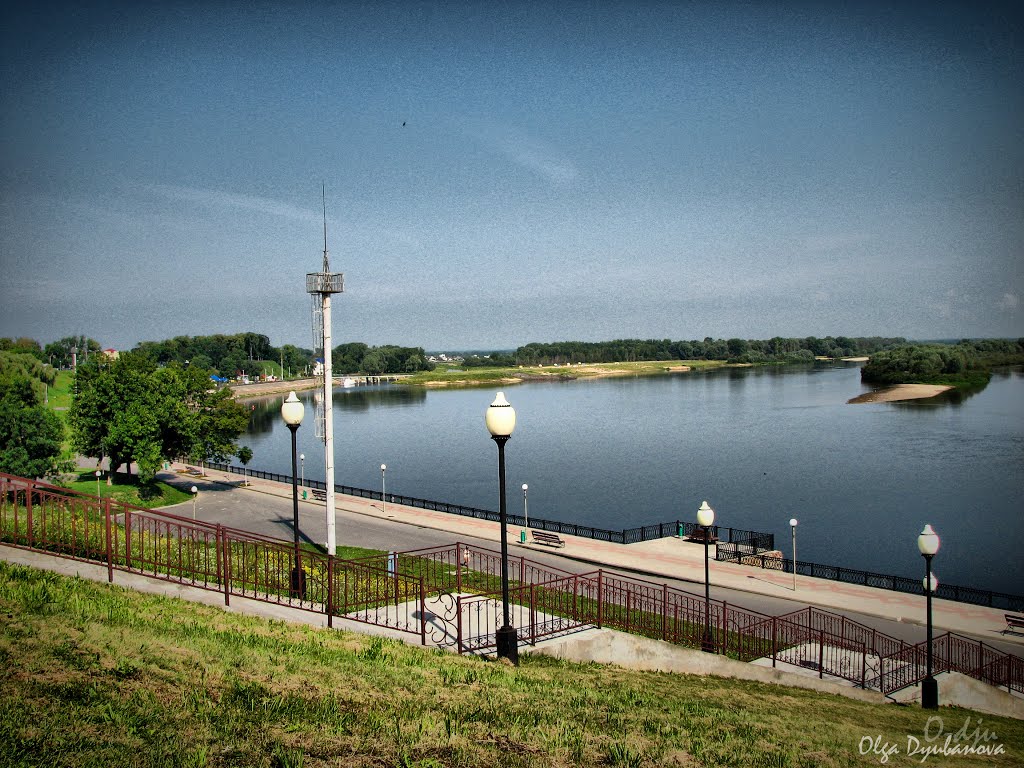 Речица, 2011