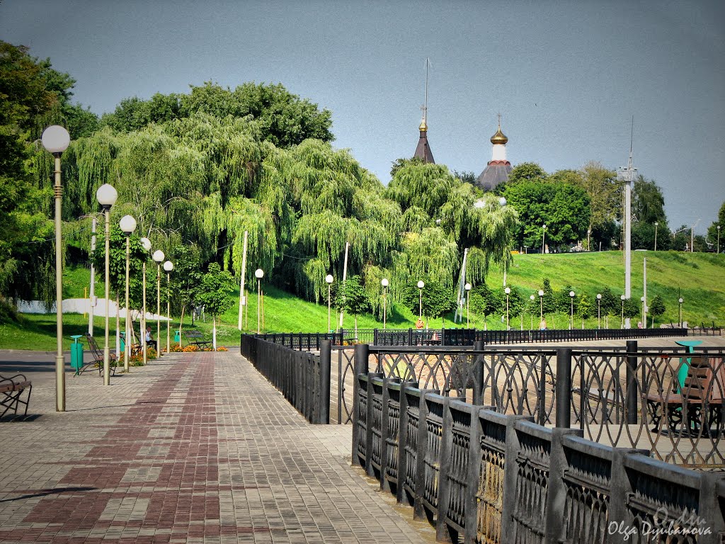 Речица, 2011