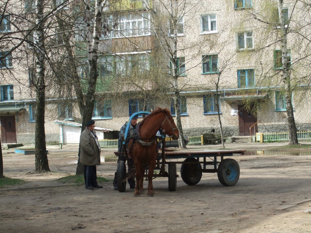 Городской двор