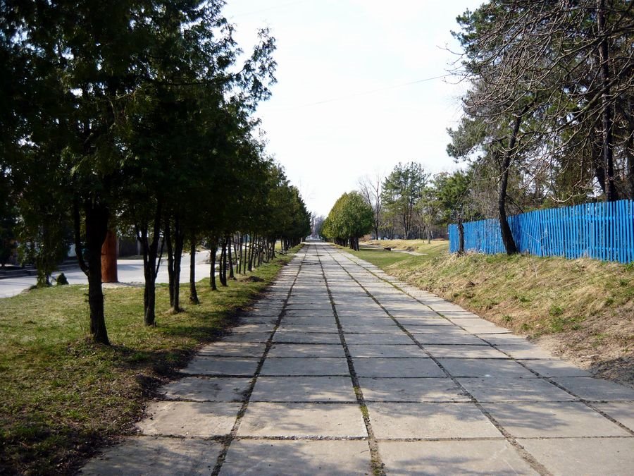 Рогачев "Аллея" вдоль бара "Старый город" "старой танцплощадки" "Метеослужбы"