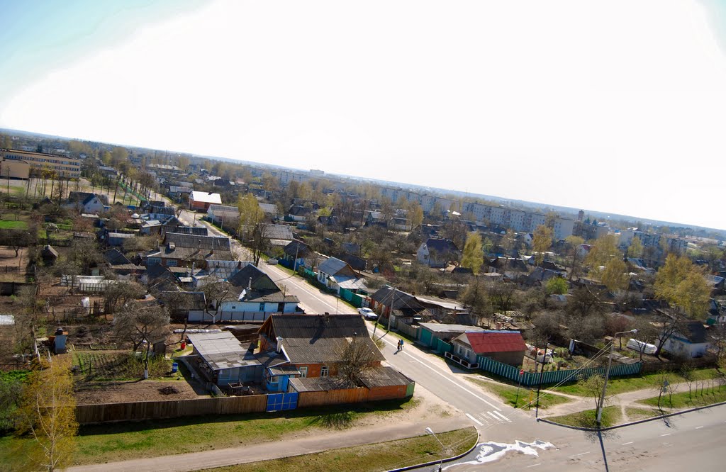 Рогачёв